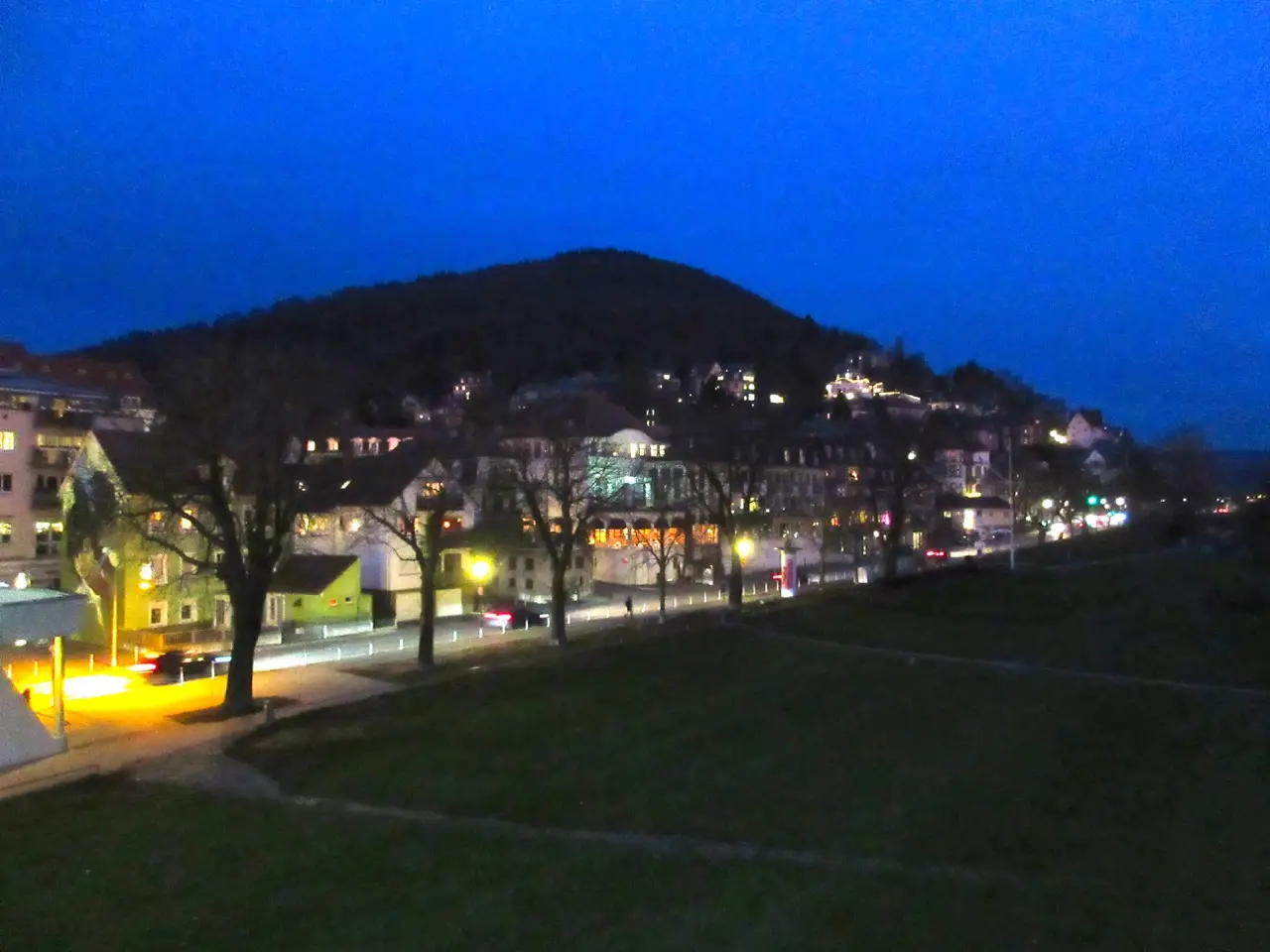 Neuenheimer Neckarufer im Abendlicht